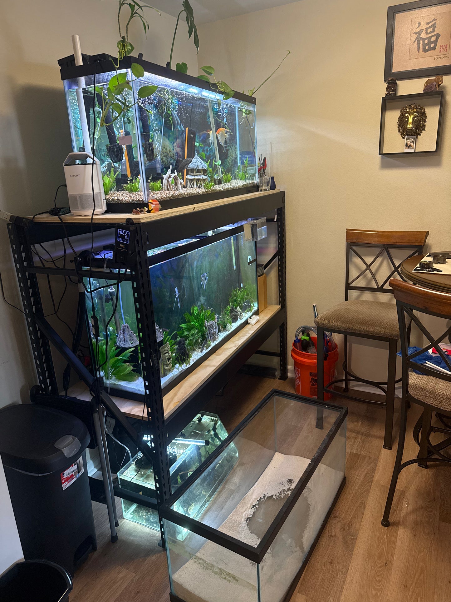 Aquascaping/Interior Design