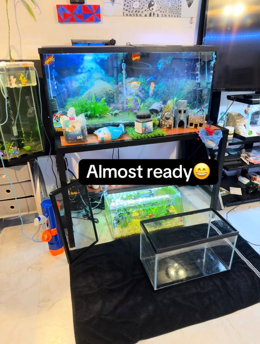 Aquarium Remodel/Revamp