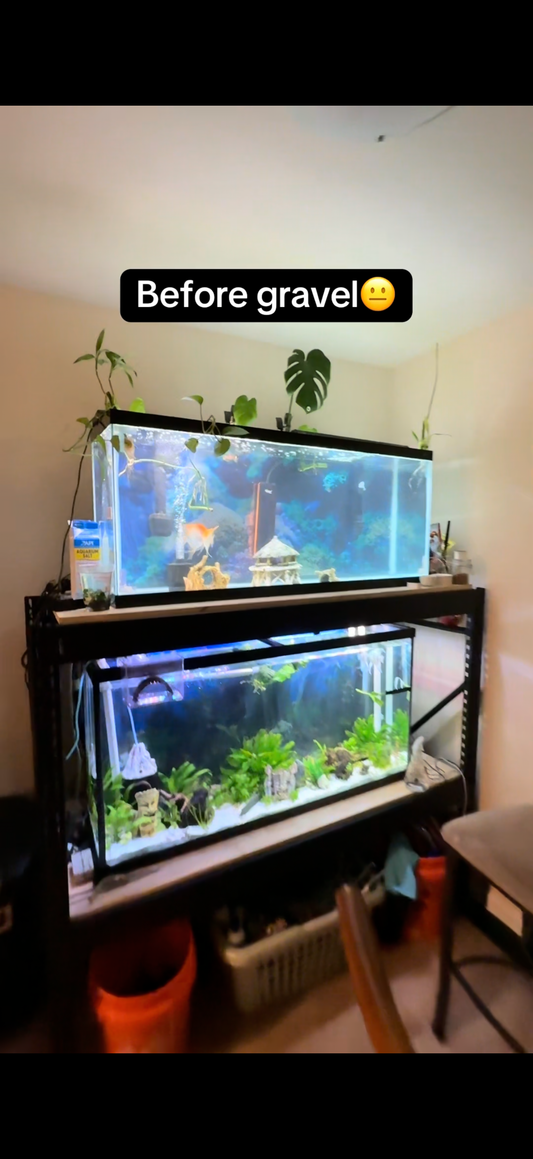 Equipment Install/Upgrades