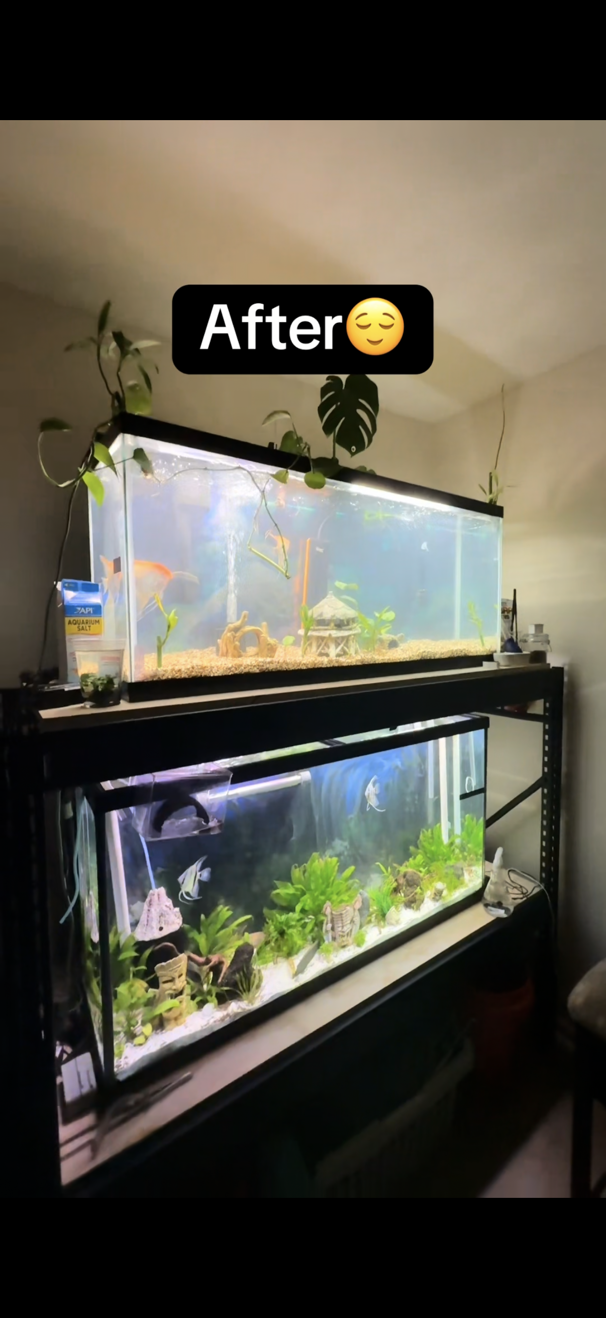Equipment Install/Upgrades